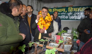 बनलगी में स्थापित होगा टमाटर आधारित खाद्य प्रसंस्करण उद्योग - राम कुमार चौधरी