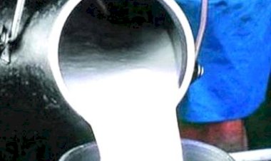 प्रदेश सरकार तथा एनडीडीबी के बीच समझौता ज्ञापन हस्ताक्षरित.... मुख्यमंत्री