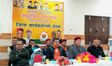 कांग्रेस पार्टी ने सदा ही अनुसूचित वर्ग को वोट बैंक की तरह उपयोग किया : बिंदल