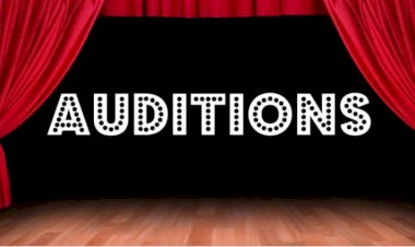 राज्य स्तरीय मां शूलिनी मेला-2025 की सांस्कृतिक संध्याओं के कलाकारों के लिए  ऑडिशन 11 से 14 जून तक