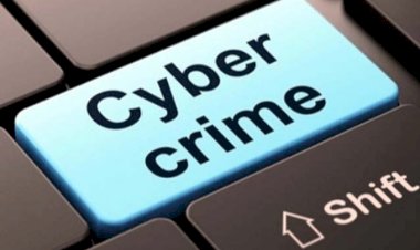 ऑनलाइन सर्च नंबरों से रहें सावधान, फर्जी कस्टमर केयर नंबर से भी ठगी का खतरा, शिमला साइबर सैल ने किया अलर्ट