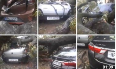 भारी तुफान से पुलिस कॉलोनी में विशालकाय पेड़ गिरा, 8 गाडिय़ां क्षतिग्रस्त लाखों का नुकसान