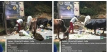 नप ने गारबेज एक्ट के तहत खुले में कचरा फैं कने वालों के खिलाफ दिखाई सख्ती, काटे चालान