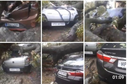 भारी तुफान से पुलिस कॉलोनी में विशालकाय पेड़ गिरा, 8 गाडिय़ां क्षतिग्रस्त लाखों का नुकसान