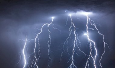 आसमानी बिजली गिरने से 6 बकरियां मरी