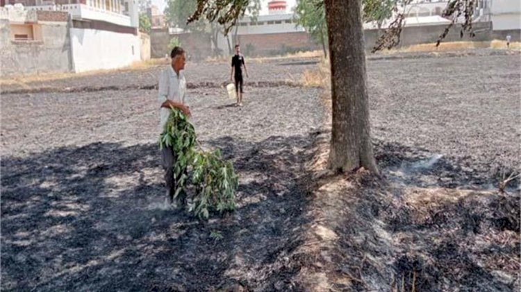 पटाखों की चिंगारी से भड़की आग, 10 बीघा खेत में गेहूं की फसल राख