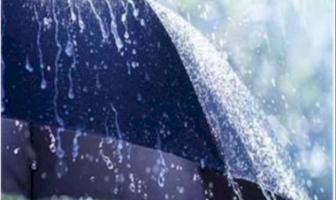 4 व 5 मई को बारिश-बर्फबारी और अंधड़ की संभावना