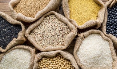 14 स्थानों पर खोली जानी है उचित मूल्य की दुकानें, 05 दिसंबर तक करें आवेदन