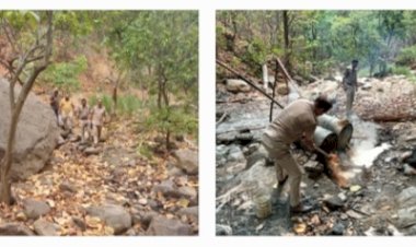 नाजायज शराब की पांच भट्टियां पकड़ी, 12000 लीटर लाहन की नष्ट