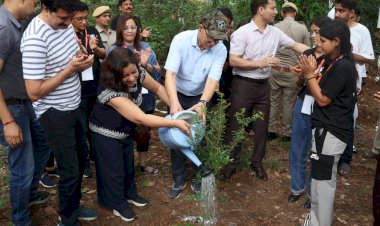 जिला प्रशासन, वन विभाग और फिल्म जगत से आए कलाकारों ने किया पौधारोपण