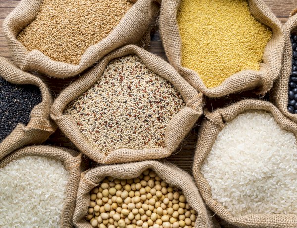 नई उचित मूल्य की दुकानों के लिए ऑनलाइन आवेदन की अंतिम तिथि बढ़ी