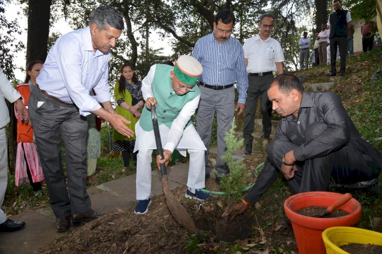राज्यपाल ने विश्व पर्यावरण दिवस पर पौधारोपण किया