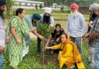 दशमेश सेवा सोसायटी ने किया पौधारोपण, 200 पौधों का रोपण कर दिया पर्यावरण संरक्षण का संदेश