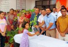 ऊना जिला प्रशासन की पर्यावरण संरक्षण को प्रेरणात्मक पहल, लोगों को निशुल्क बांटे 1100 पौधे
