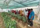 धौलाकुआं में किसानों ने वैज्ञानिकों से सीखीं बागवानी की आधुनिक तकनीकें