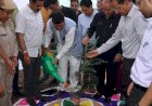 लोक निर्माण मंत्री ने ढांगसीधार में किया पौधारोपण