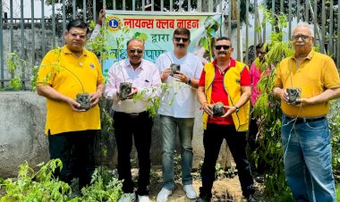 औद्योगिक क्षेत्र काला आम में लायंस क्लब ने किया पौधरोपण