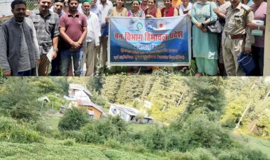 किन्नौर में कडू की खेती पर वानिकी परियोजना की कसरत, निचार वन परिक्षेत्र में जल्द बनेगा 50 किसानों का एक ग्रुप