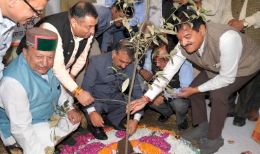 मुख्यमंत्री ने 75वें राज्य स्तरीय वन महोत्सव का शुभारम्भ किया