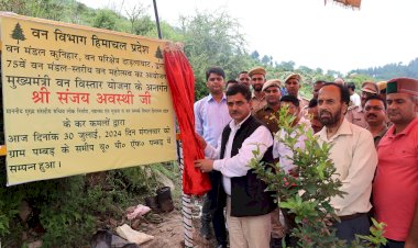 वृक्षारोपण वर्तमान का भविष्य के लिए एक बेहतरीन  उपहार - संजय अवस्थी
