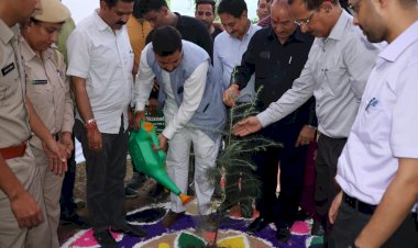 लोक निर्माण मंत्री ने ढांगसीधार में किया पौधारोपण