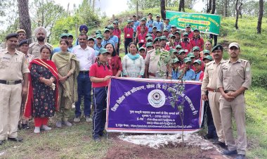पर्यावरण का संरक्षण हम सभी का दायित्व - आकांक्षा डोगरा
