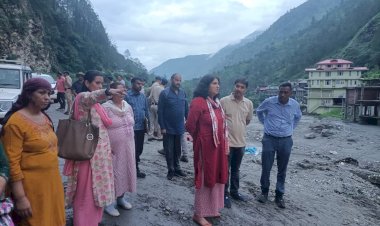 उपायुक्त ने किया बागीपुल का दौरा, विभिन्न विभागों को सेवाएं जल्द बहाल करने के निर्देश