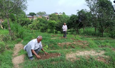 अब गांव झिंझकरी भी अमरूद के बागीचे से होगा गुलजार, एचपीशिवा परियोजना से लाभान्वित होंगे गांव के 27 किसान