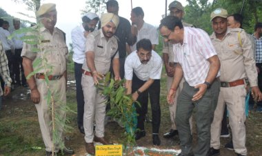 बिलासपुर में वन महोत्सव कार्यक्रम के अंतर्गत न्यायिक पदाधिकारियों ने किया पौधारोपण