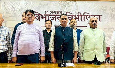 विभाजन से पहले ही सभी को अंदाजा था कि बड़े स्तर पर सांप्रदायिक दंगे हो सकते हैं, रोकने के प्रयास नहीं किये गये : बिहारी