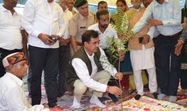 वन ही लम्बी आयु और शुद्ध वायु का स्त्रोत - संजय अवस्थी