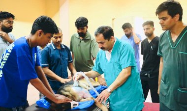 ऊना जिले में है एक ऐसा अस्पताल जहां 6 महीने पहले ही पता चल जाती है पशुओं की बीमारी पशुधन के लिए इलास्टोग्राफी की सुविधा, बीमारियों का आधुनिक तरीके से होता है इलाज