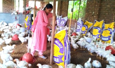 हिम कुक्कुट पालन योजना अपना कर गांव दुगराईं की हेमा कुमारी ने चुना स्वरोजगार व आत्मनिर्भरता का रास्ता
