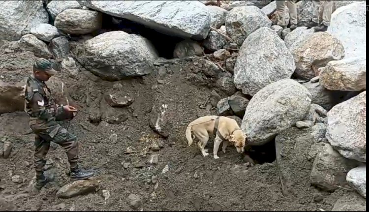 सर्च ऑपरेशन में लाइव डिटेक्टर डिवाइस का इस्तेमाल, स्निफर डाॅग को बनाया सर्च ऑपरेशन का हिस्सा