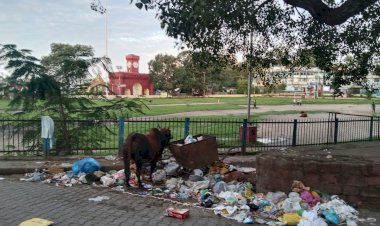 वर्ष 2019-20 में स्वच्छता रेंक झटकने वाली नाहन नगर परिषद की गारबेज कलेक्शन स्कीम क्यों पटरी से उतरी,1 करोड़ का इनाम भी मिला था बहेतर प्रबंधन के लिये।