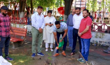 उपायुक्त ने ऊना के एमसी पार्क में लगाए हर्बल पौधे
