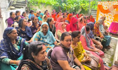 उचित पोषण के लिए दैनिक आहार में विविधता जरूरी: सीडीपीओ