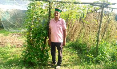 कृषि प्रोत्साहन योजनाओं ने खत्म की पेंशन की टेंशन, बंजर भूमि से एक साल में कमाए चार लाख