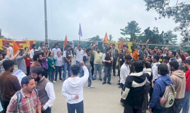 एचपीयू में एबीवीपी के कार्यकर्ताओं ने किया धरना प्रदर्शन - एबीवीपी