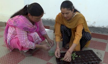 टिशू कल्चर तकनीक से कुल्लू में सेब तथा अन्य  फलदार पौधों  की उन्नत  किस्में पैदा कर रहे देवराज राणा