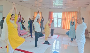 जिला आयुर्वेदिक चिकित्सालय मण्डी में सप्ताह में दो दिन शल्य चिकित्सक की सेवाएं उपलब्ध