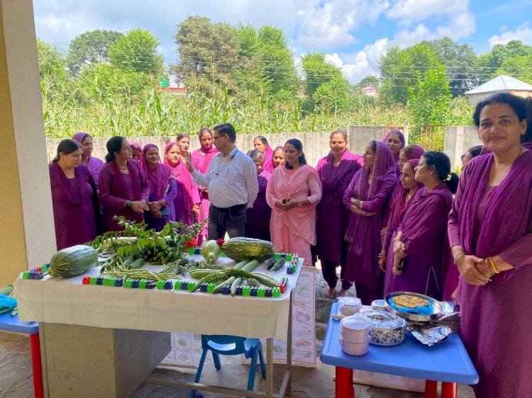‘स्वस्थ जीवन के लिए बहुत जरूरी है पोषण शिक्षा’, बड़सर में पोषण जागरुकता के लिए लगाई शिक्षा चौपाल