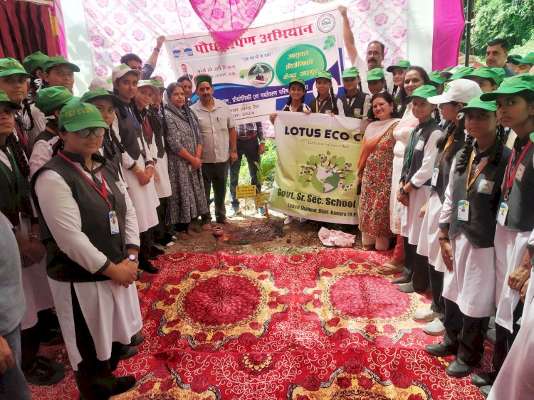 थौला बस्ती से भोई सड़क निर्माण पर व्यय होंगे 5 करोड़ 77 लाख: पठानिया