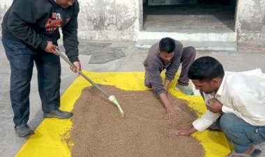 हिमाचल में तैयार होगा मछलियों का पौष्टिक आहार सिफाब्रूड