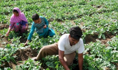 प्रदेश सरकार की किसान हितैषी योजनाओं से किसानों के जीवन में आ रही सम्पन्नता