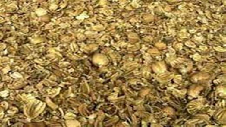 3.004 किलोग्राम चुरा पोस्त,10 लीटर नाजायज शराब समेत 13020 की करंसी पकड़ी, दो मामलों में धरे दो आरोपी