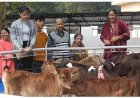 नाहन में गोपाष्टमी पर्व की धूम, गौ पूजन के लिए दूर-दूर से पहुंचे लोग,
