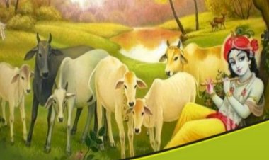 9 व 10 नवम्बर को माता बाला सुंदरी गौशाला में गोपाष्टमी महोत्सव का आयोजन