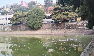 पक्का टैंक क्षेत्र मे  फैली गंदगी ,नप प्रशासन बेबस. कचरा फैकनें वालों का बोलबाला.भाजपा कांग्रेस के पार्षदों की आपसी रस्साकशी से सिस्टम ठप्प