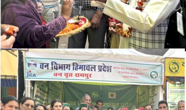 लवी मेले में महक रही जाइका के प्राकृतिक उत्पादों की खुशबू